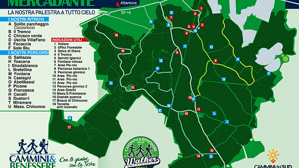 Nordic Walking in foresta