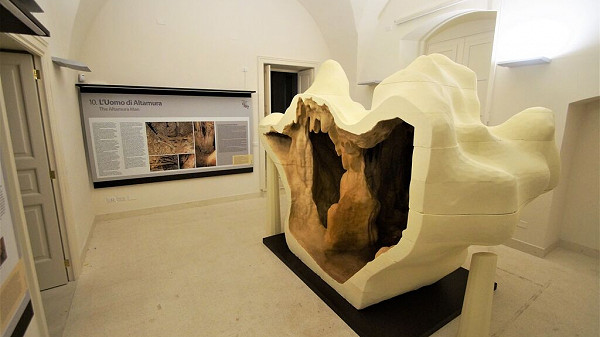 Rete Museale Uomo di Altamura