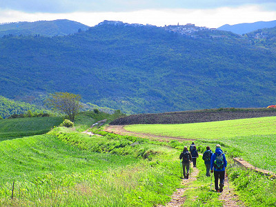 Via Dauna